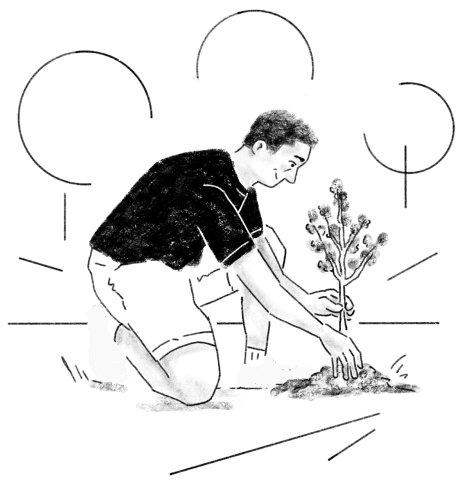 Illustration of a person kneeling and planting a tree seedling outside